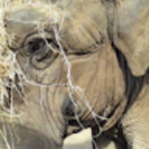 Meet your Posher, Terry